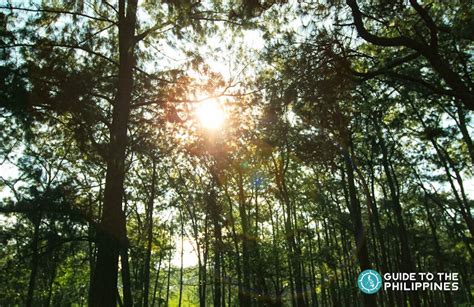 Baguio Philippines Travel Guide: Hotels, What to Do.